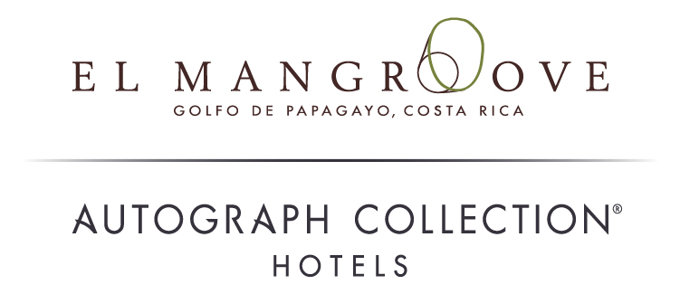 Hotel Mangroove