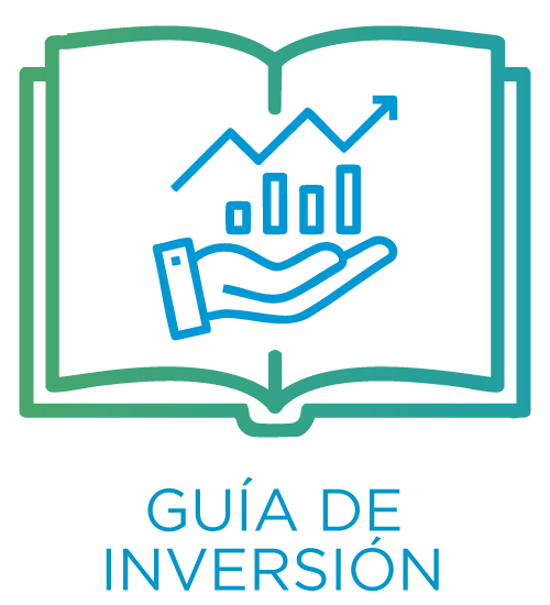 ICONO GUÍA DE INVERSION