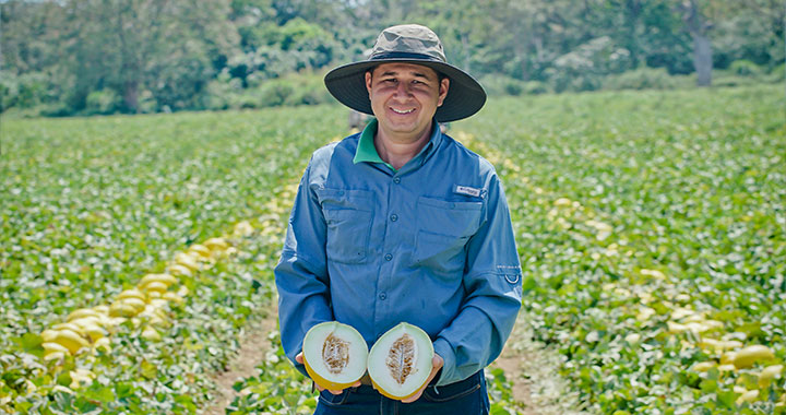  Agricultura
